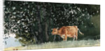 Cow in Pasture by Winslow Homer