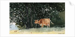 Cow in Pasture by Winslow Homer