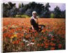 The Poppy Field by George Hitchcock