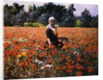 The Poppy Field by George Hitchcock