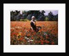 The Poppy Field by George Hitchcock