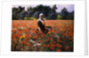 The Poppy Field by George Hitchcock