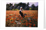 The Poppy Field by George Hitchcock