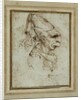 Caricature of a Woman Wearing a Hennin by Leonardo da Vinci