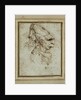 Caricature of a Woman Wearing a Hennin by Leonardo da Vinci