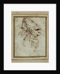 Caricature of a Woman Wearing a Hennin by Leonardo da Vinci