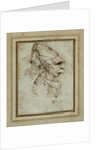 Caricature of a Woman Wearing a Hennin by Leonardo da Vinci