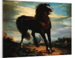 The Horse by Jean Francois Millet