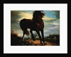 The Horse by Jean Francois Millet