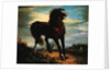 The Horse by Jean Francois Millet