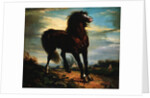 The Horse by Jean Francois Millet