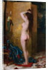 A Standing Nude by Frans Verhas