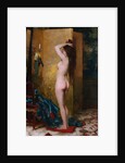 A Standing Nude by Frans Verhas