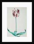 Tulips by Pieter Holsteijn II
