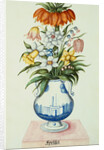 17th Century German Watercolor entitled The Months: Flowers in a Pottery Vase: April: A Crown Imperial, Narcissi, Fritillaries and Lilies of the Valley by Anonymous