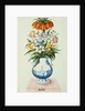 17th Century German Watercolor entitled The Months: Flowers in a Pottery Vase: April: A Crown Imperial, Narcissi, Fritillaries and Lilies of the Valley by Anonymous