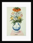17th Century German Watercolor entitled The Months: Flowers in a Pottery Vase: April: A Crown Imperial, Narcissi, Fritillaries and Lilies of the Valley by Anonymous