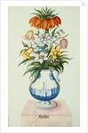 17th Century German Watercolor entitled The Months: Flowers in a Pottery Vase: April: A Crown Imperial, Narcissi, Fritillaries and Lilies of the Valley by Anonymous