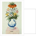 17th Century German Watercolor entitled The Months: Flowers in a Pottery Vase: April: A Crown Imperial, Narcissi, Fritillaries and Lilies of the Valley by Anonymous