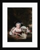 Portrait of a Young Lady with her Dog in a Landscape by William Nicholson