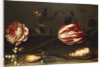 Flowers, Insects, and a Shell by Balthasar van der Ast