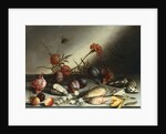 Shells, Plums, Berries, Flowers and Insects by Balthasar van der Ast