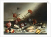 Shells, Plums, Berries, Flowers and Insects by Balthasar van der Ast