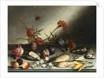 Shells, Plums, Berries, Flowers and Insects by Balthasar van der Ast