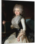 Portrait of Madame Zouboff by Jean Louis Voille