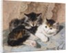 Best of Friends by Henriette Ronner-Knip