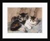 Best of Friends by Henriette Ronner-Knip
