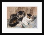Best of Friends by Henriette Ronner-Knip