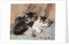 Best of Friends by Henriette Ronner-Knip