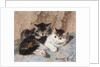 Best of Friends by Henriette Ronner-Knip