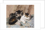 Best of Friends by Henriette Ronner-Knip
