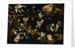 Imaginary Animals and Dwarfs Fighting, Drinking and Carousing Attributed to Faustino Bocchi by Anonymous