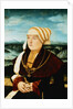 Portrait of Dorothea von Stralenburg, Aged 26 by Konrad Faber von Kreuznach