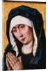 The Mater Dolorosa by Albert Bouts