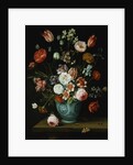 Flowers in a Chinese Transitional Blue and White Jardiniere, with Moths and Other Insects on a Ledge by Jan van Kessel