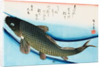 Swimming Carp by Utagawa Hiroshige