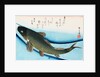 Swimming Carp by Utagawa Hiroshige