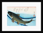 Swimming Carp by Utagawa Hiroshige