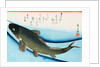 Swimming Carp by Utagawa Hiroshige