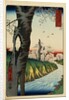 Print of a River under Cherry Blossoms by Hiroshige
