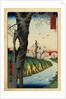 Print of a River under Cherry Blossoms by Hiroshige