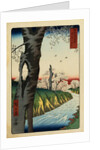 Print of a River under Cherry Blossoms by Hiroshige