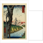 Print of a River under Cherry Blossoms by Hiroshige