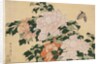 Pink and Red Peonies Blown to the Left in a Breeze and a Butterfly by HOKUSAI