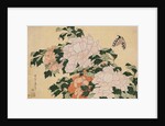 Pink and Red Peonies Blown to the Left in a Breeze and a Butterfly by HOKUSAI