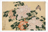 Pink and Red Peonies Blown to the Left in a Breeze and a Butterfly by HOKUSAI